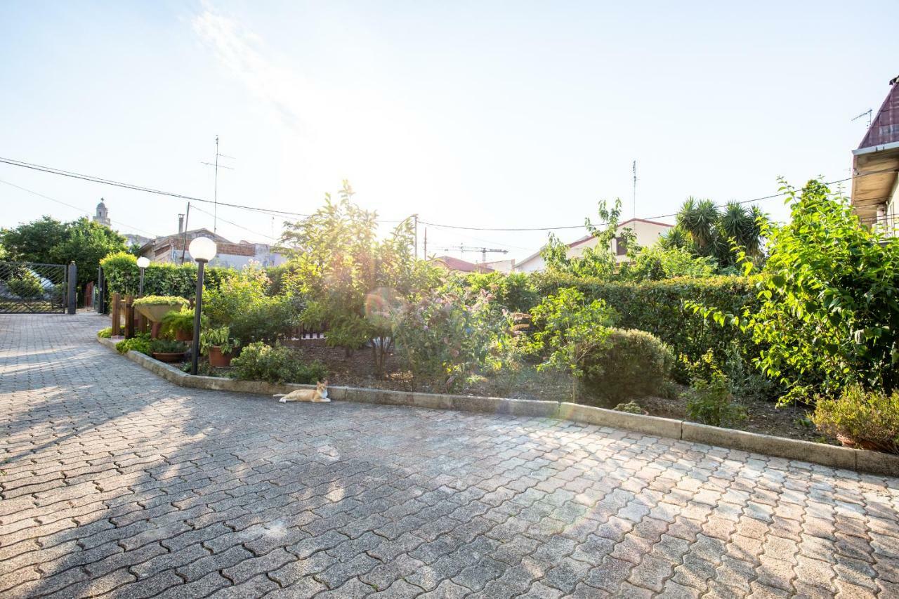 Selene Beb Bed & Breakfast Casalbordino Bagian luar foto